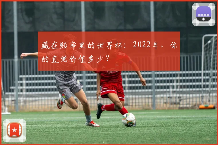 藏在赔率里的世界杯：2022年，你的直觉价值多少？