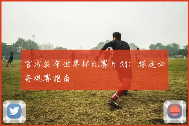 官方发布世界杯比赛计划：球迷必备观赛指南