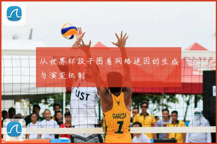 从世界杯段子图看网络迷因的生成与演变机制