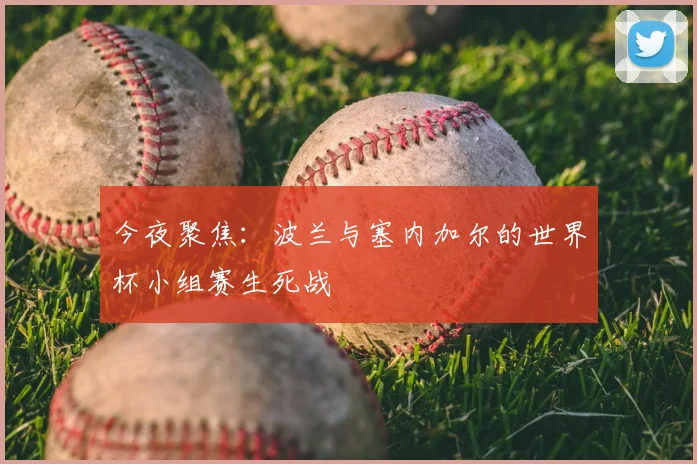 今夜聚焦：波兰与塞内加尔的世界杯小组赛生死战