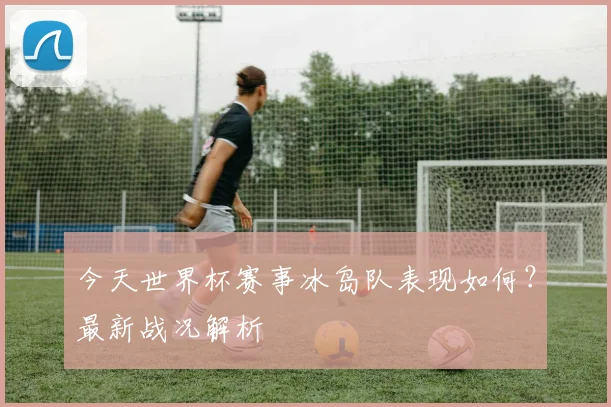 今天世界杯赛事冰岛队表现如何？最新战况解析