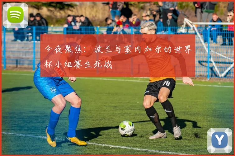 今夜聚焦：波兰与塞内加尔的世界杯小组赛生死战