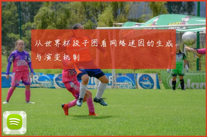 从世界杯段子图看网络迷因的生成与演变机制